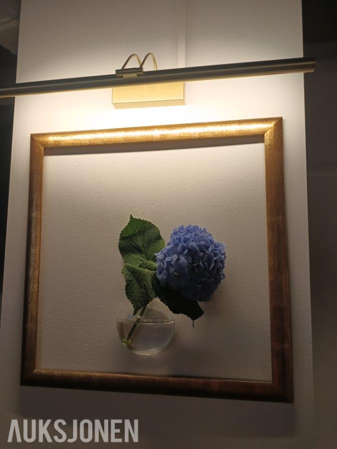 Dekorasjon og designbelysning 