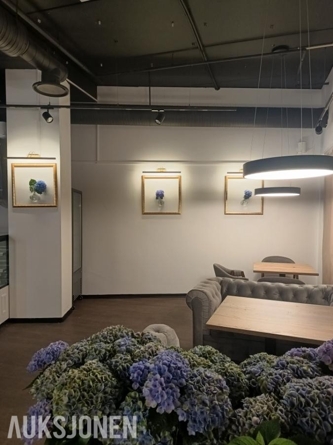 Dekorasjon og designbelysning 