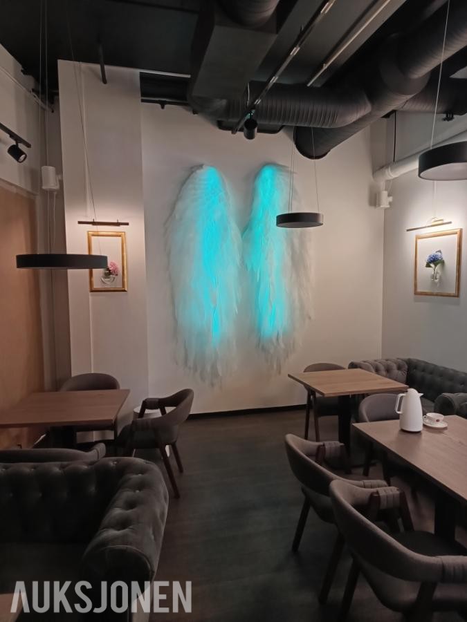Dekorasjon og designbelysning 