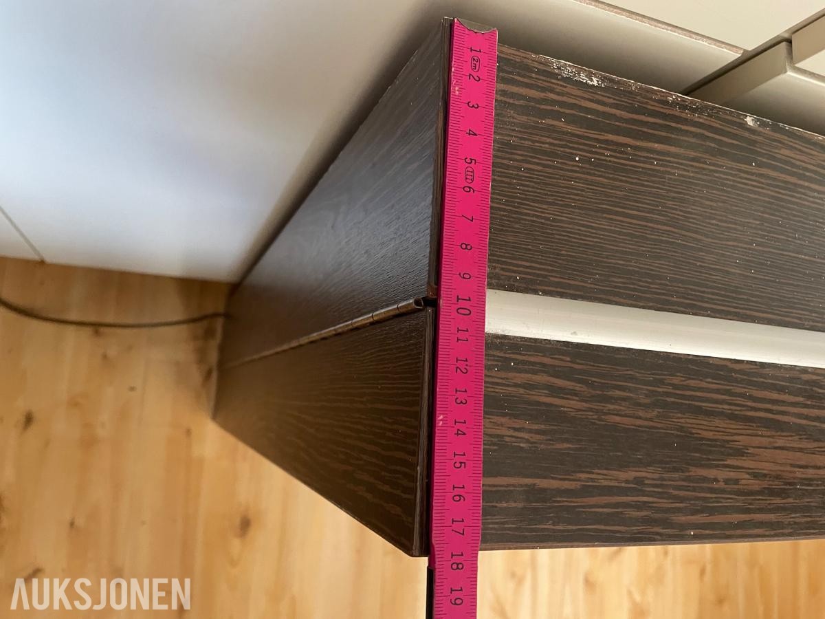 1980 Myntautomat Redningsskjøytene Krones spill