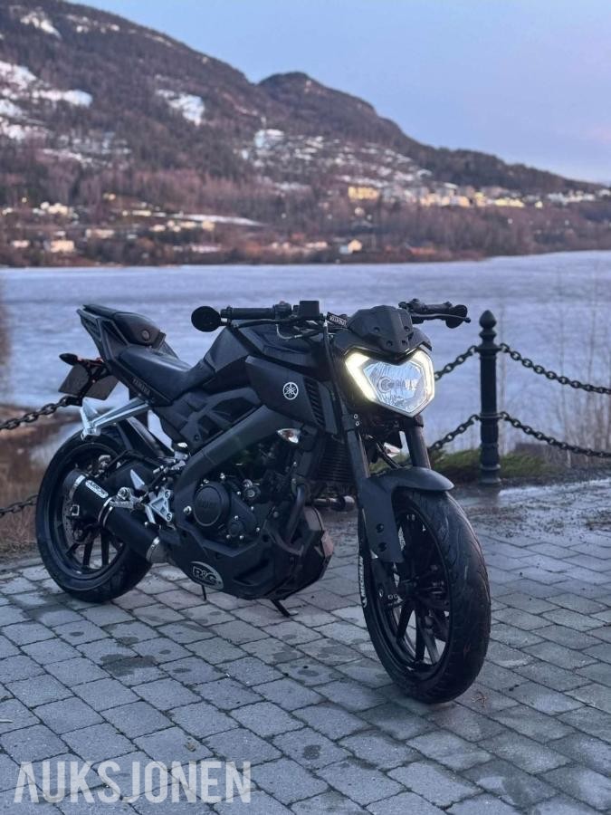 2017 Yamaha MT-125