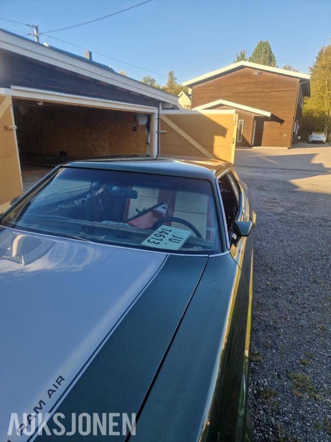 1971 Ford Mustang Hardtop – 351 Cleveland 4V