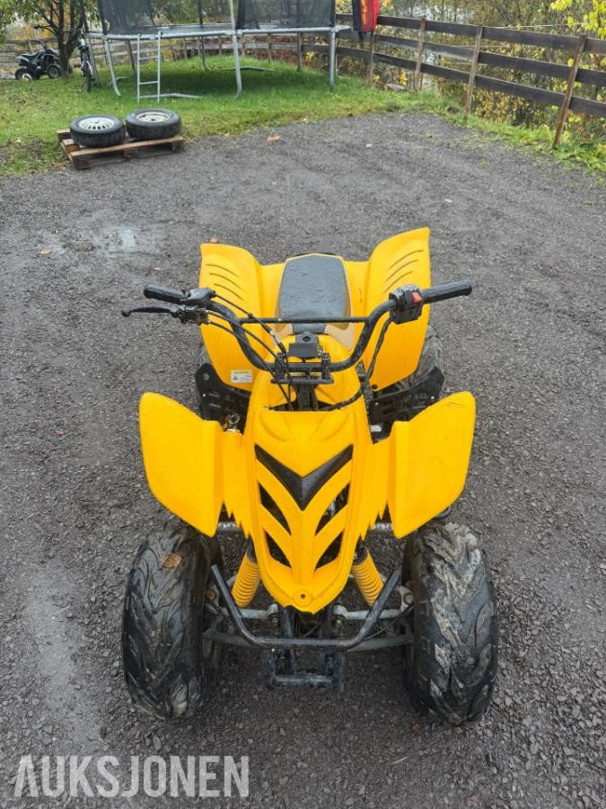 2005 Kazuma 125 atv