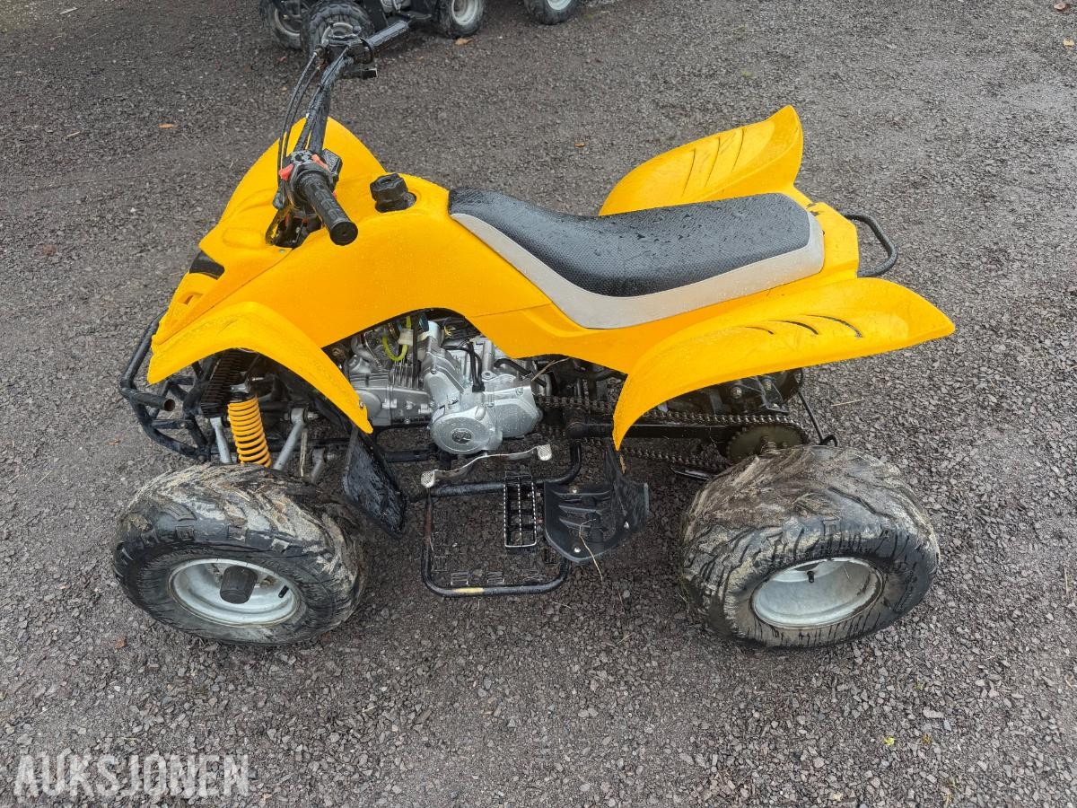 2005 Kazuma 125 atv