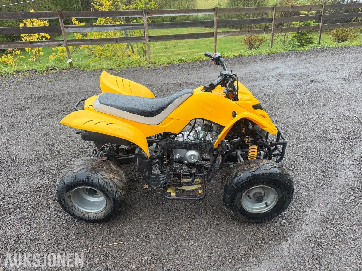 2005 Kazuma 125 atv