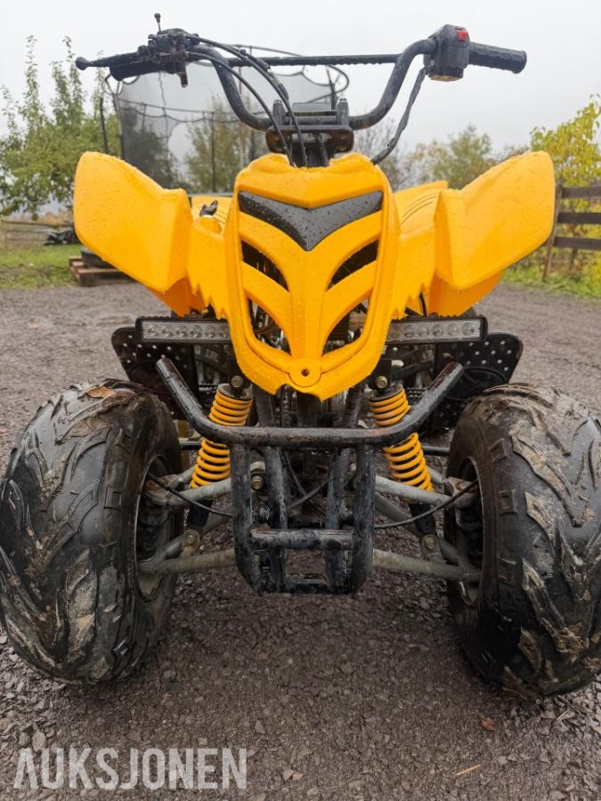 2005 Kazuma 125 atv