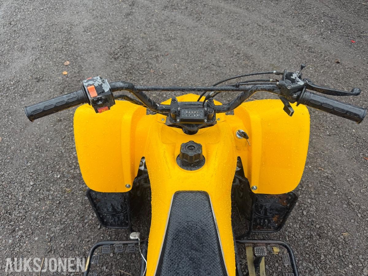 2005 Kazuma 125 atv