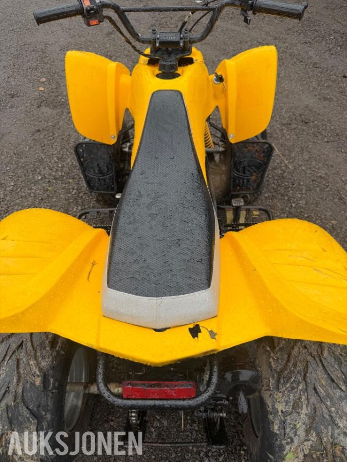 2005 Kazuma 125 atv