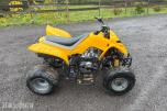 2005 Kazuma 125 atv
