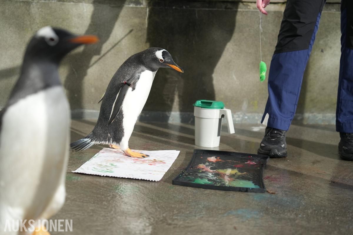 Kunstverk av pingviner!