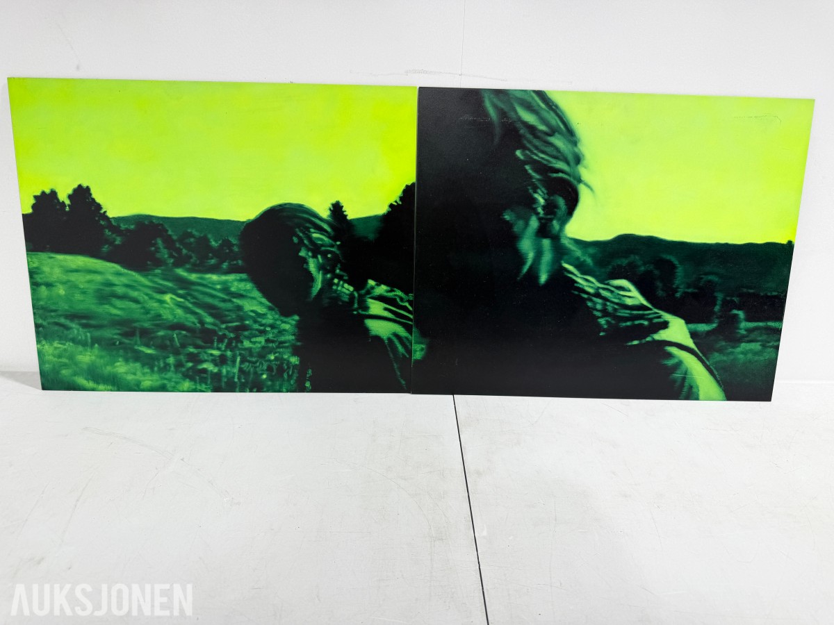 Steinar Jakobsen - AntiGroundShooting (Diptyk)