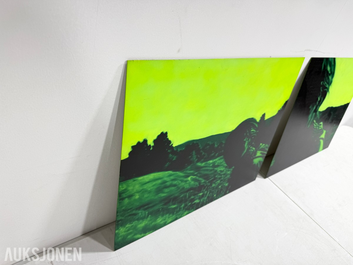 Steinar Jakobsen - AntiGroundShooting (Diptyk)