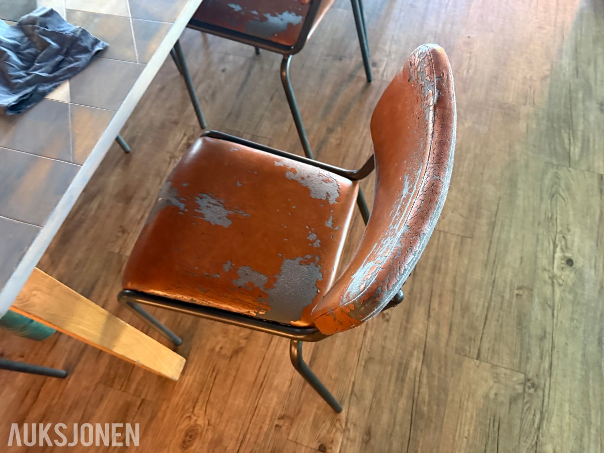 Langbord og 10 stoler