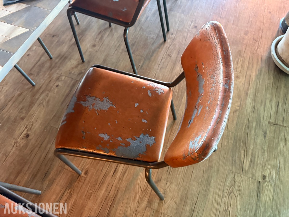Langbord og 10 stoler