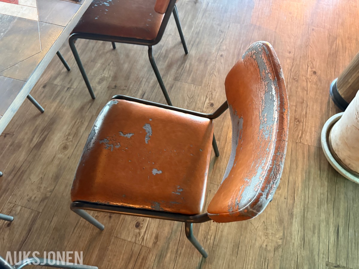 Langbord og 10 stoler