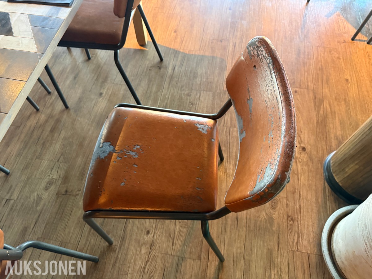 Langbord og 10 stoler