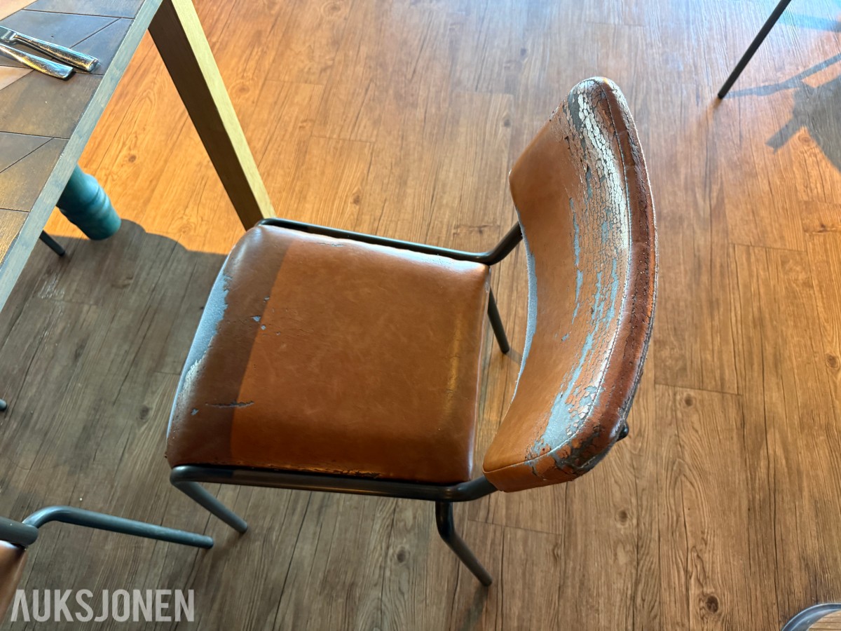 Langbord og 10 stoler