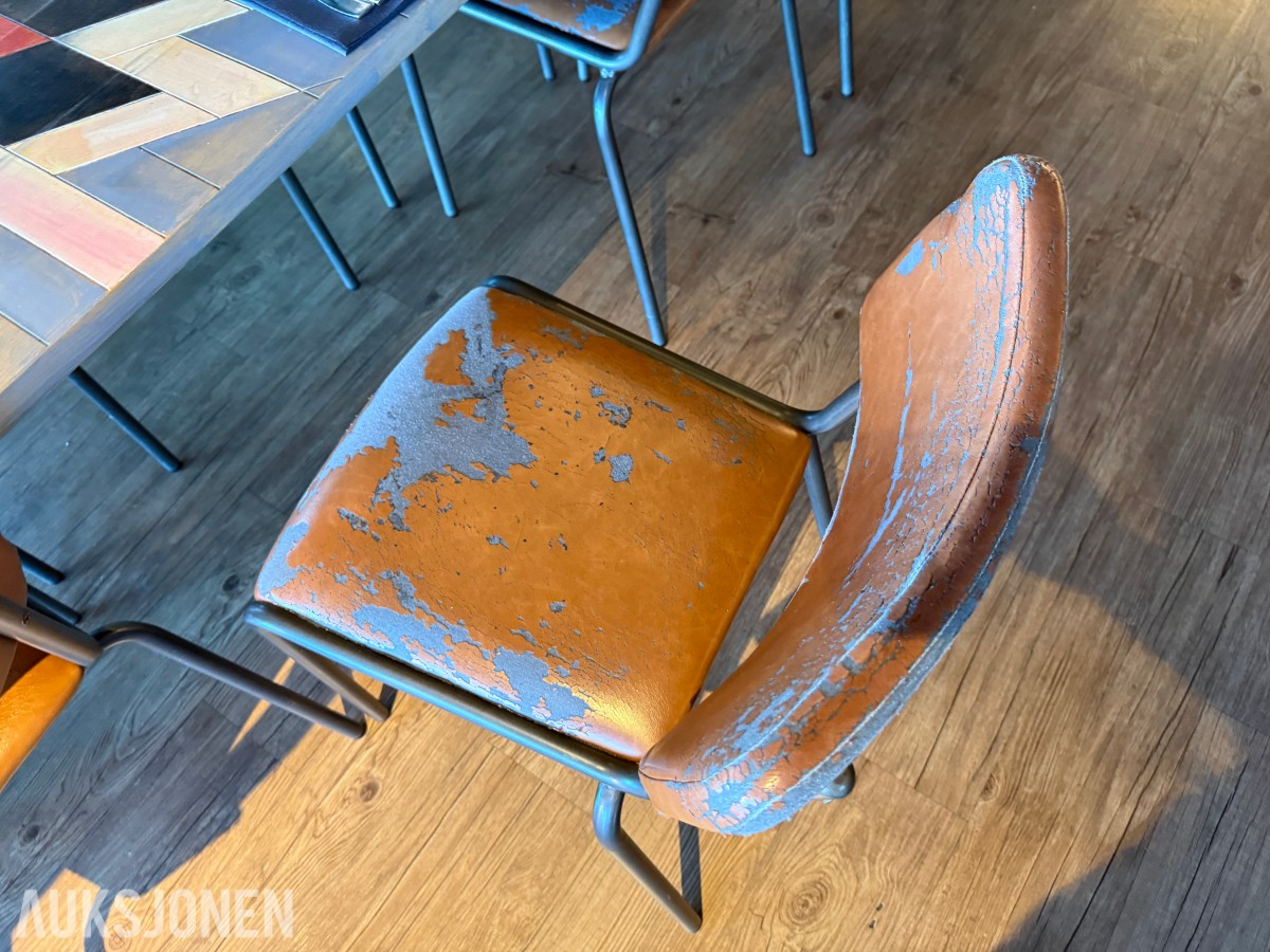 Langbord og 10 stoler