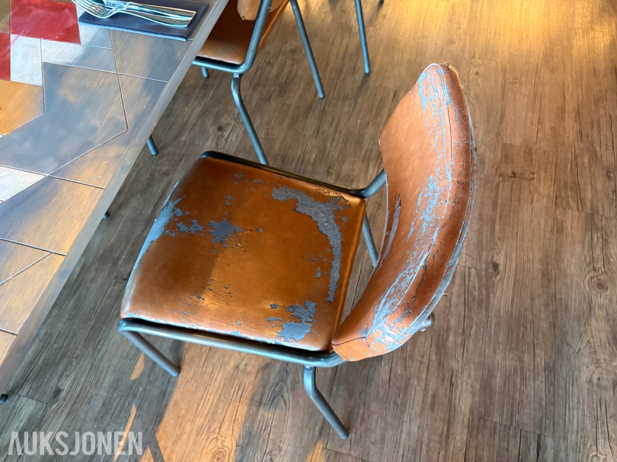 Langbord og 10 stoler