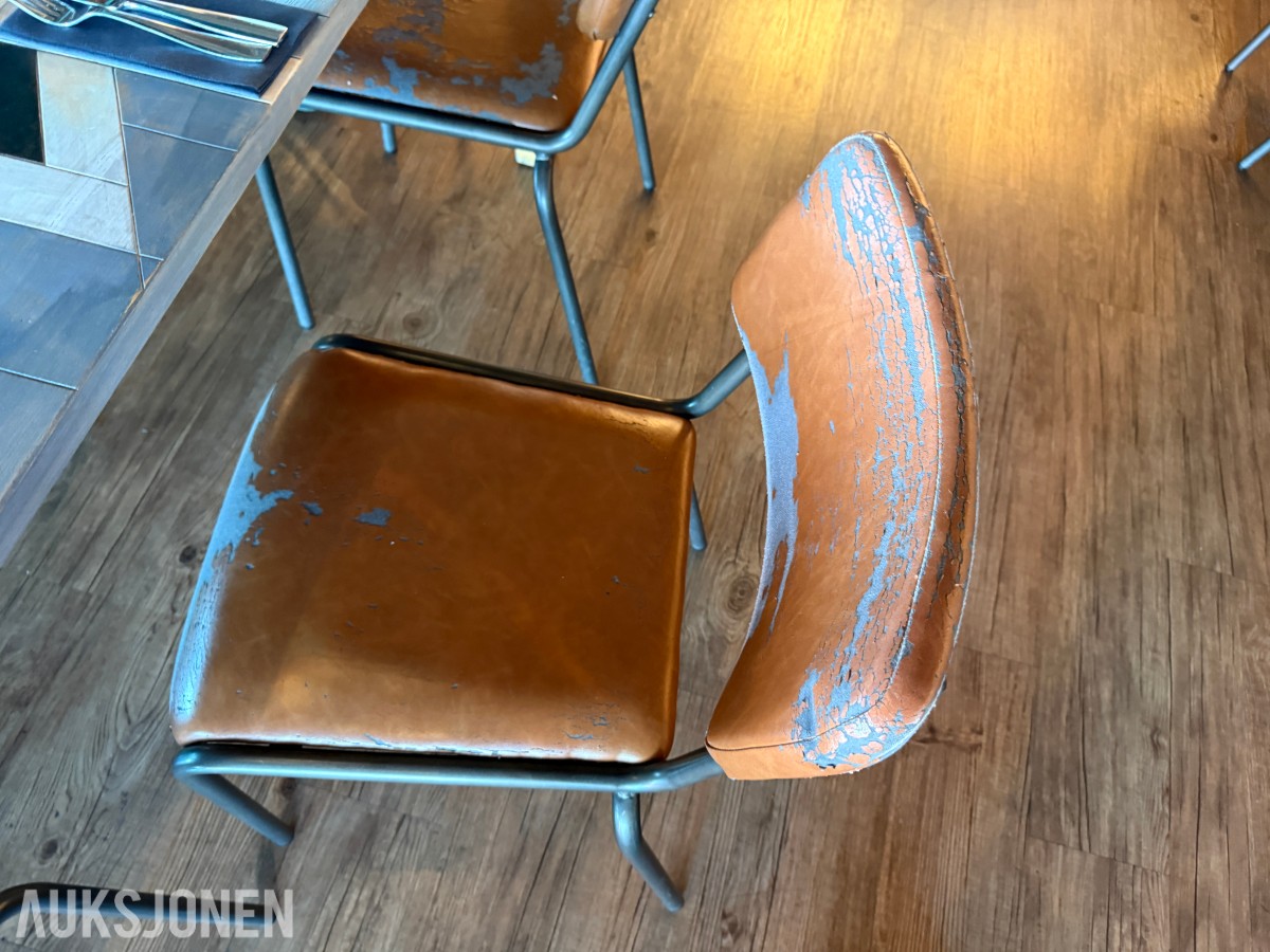 Langbord og 10 stoler