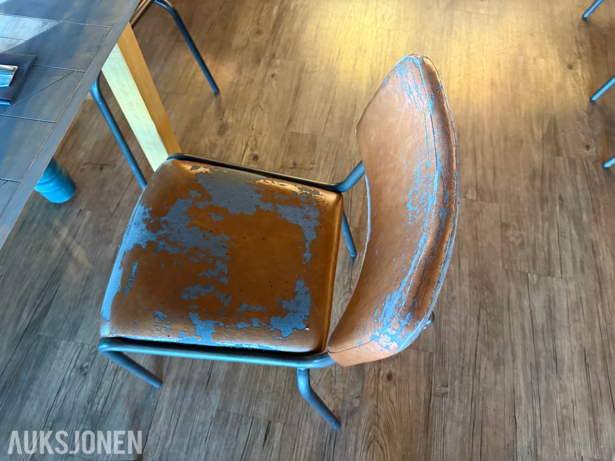 Langbord og 10 stoler