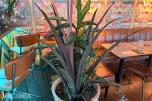 Kunstige planter