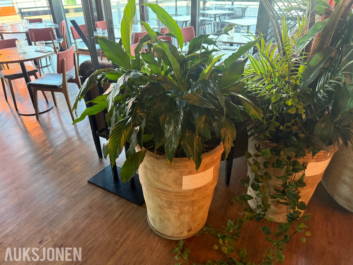 Diverse planter