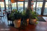Diverse planter