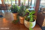 Diverse planter