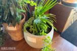 Diverse planter