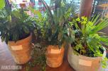 Diverse planter