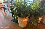 Diverse planter
