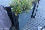 Blomsterkasser