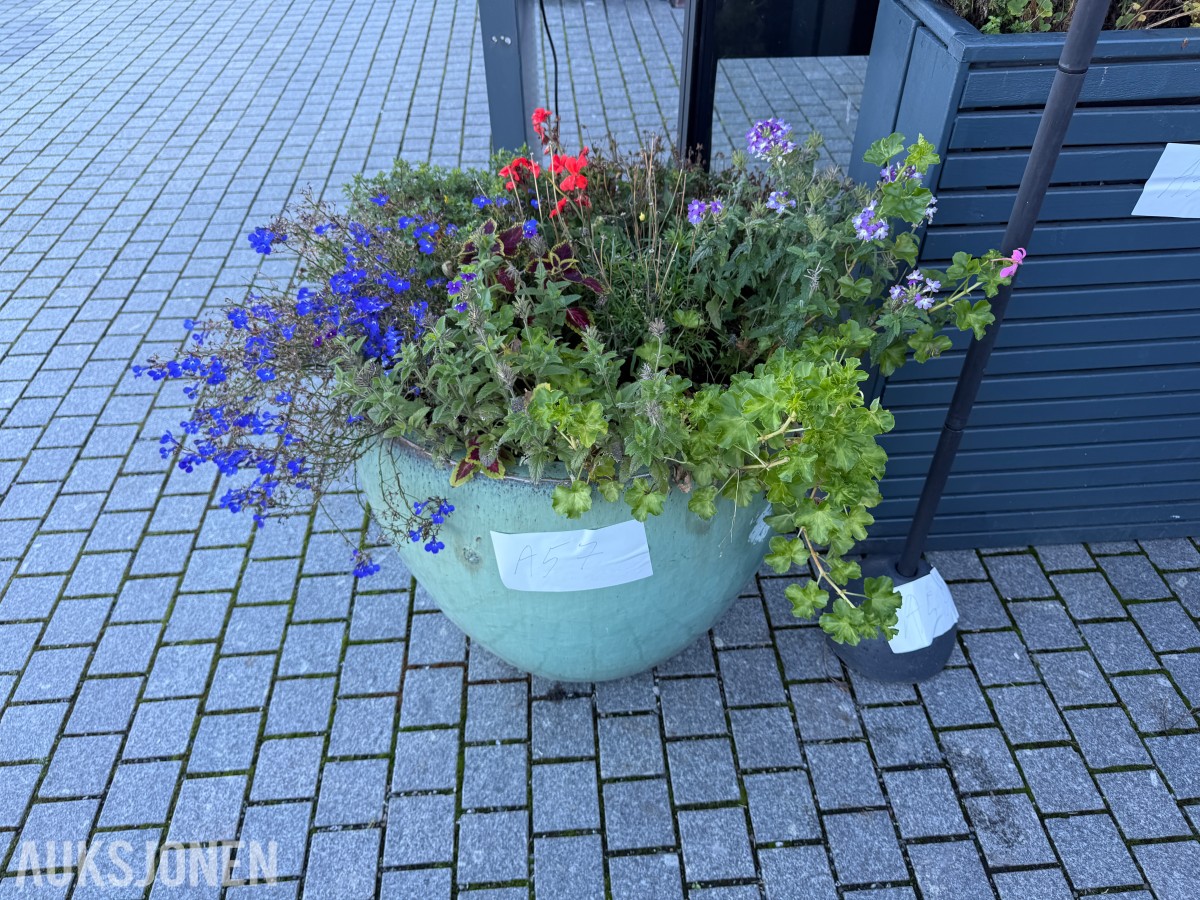 Blomsterkasser og serveringsskilt