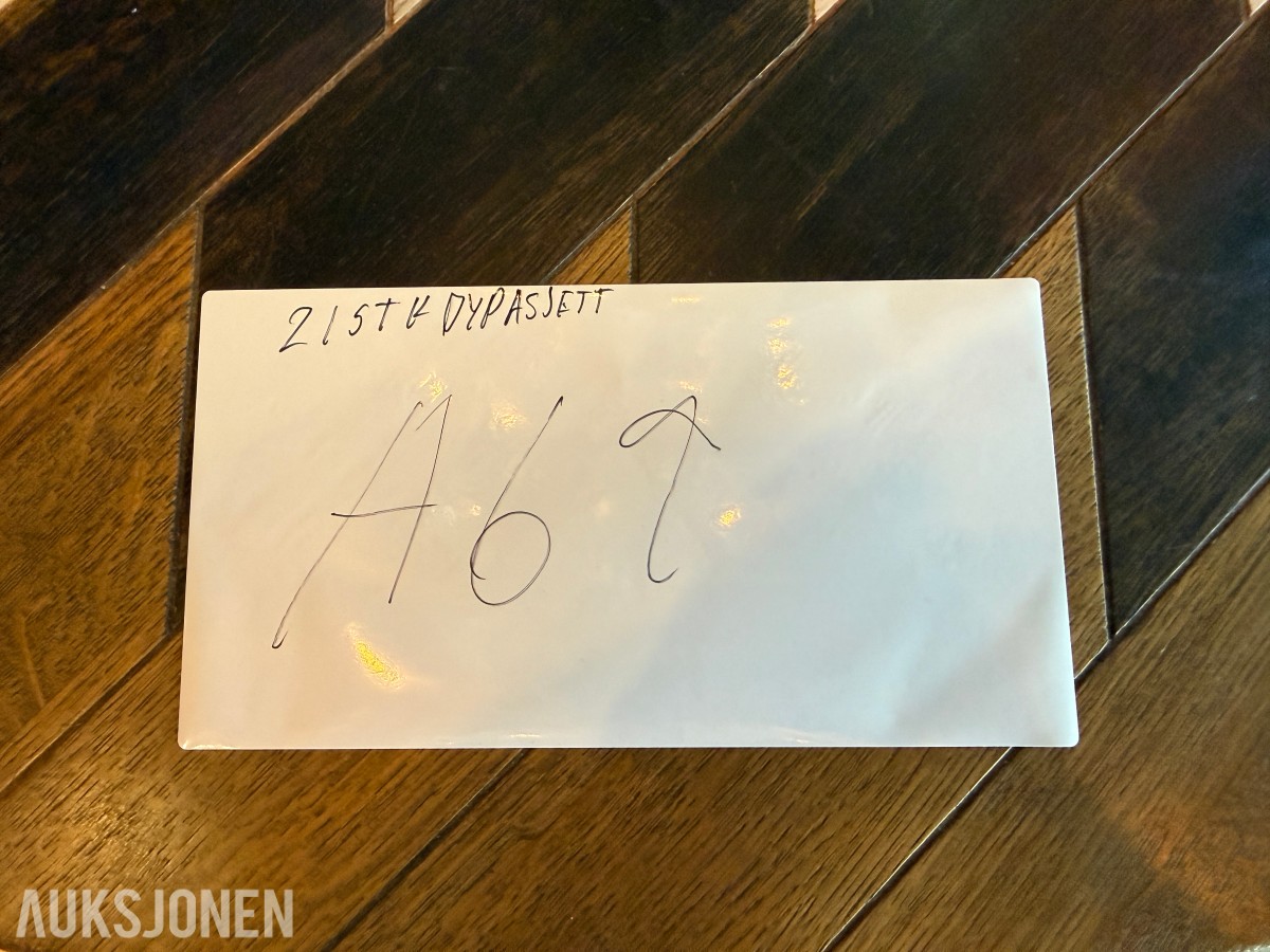 21 stk asjetter