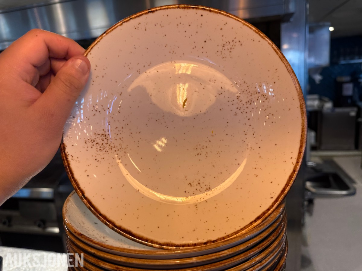 Steelite International Craft, 32 tallerkener i porselen
