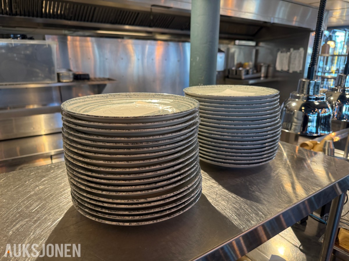 36 stk Porland tallerkener