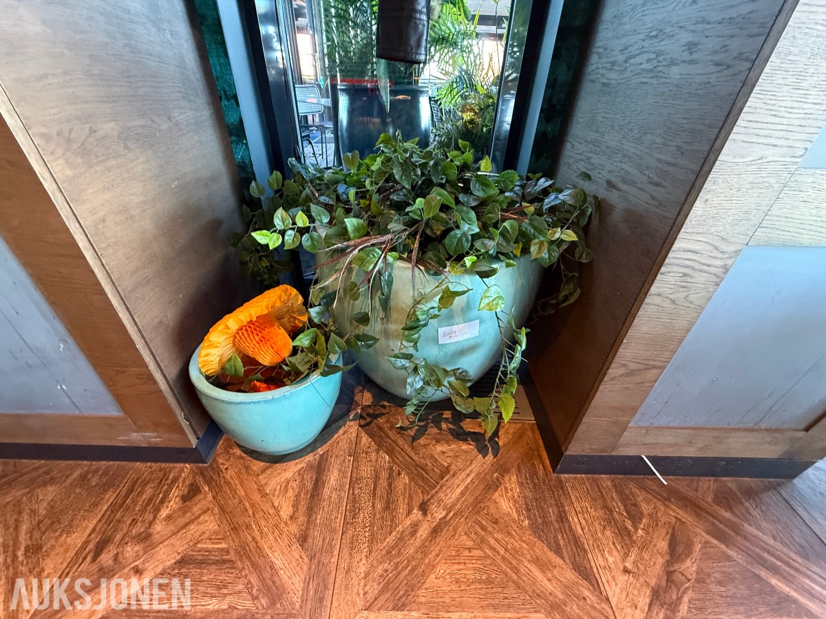 2 stk. dekorative blomsterpotter i turkis/grønn utførelse med plante