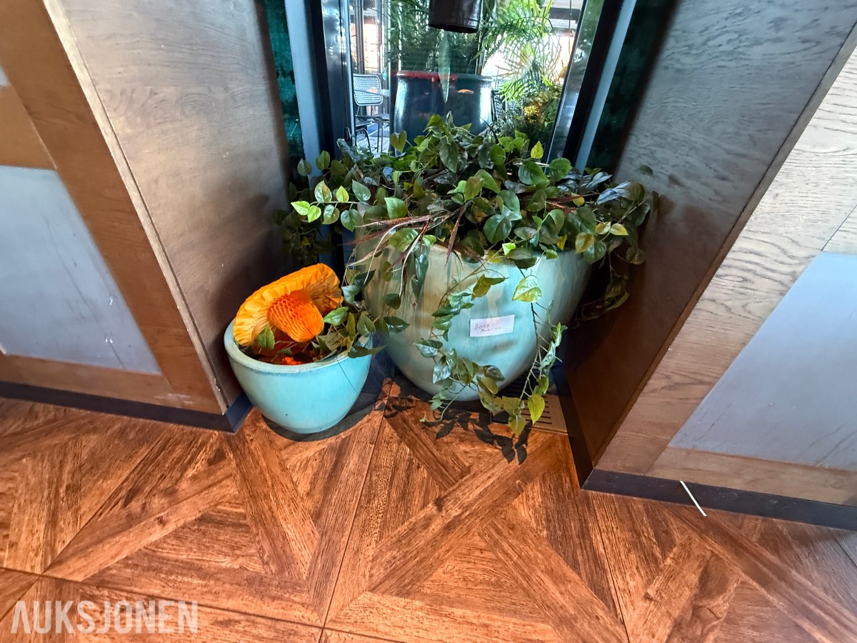 2 stk. dekorative blomsterpotter i turkis/grønn utførelse med plante