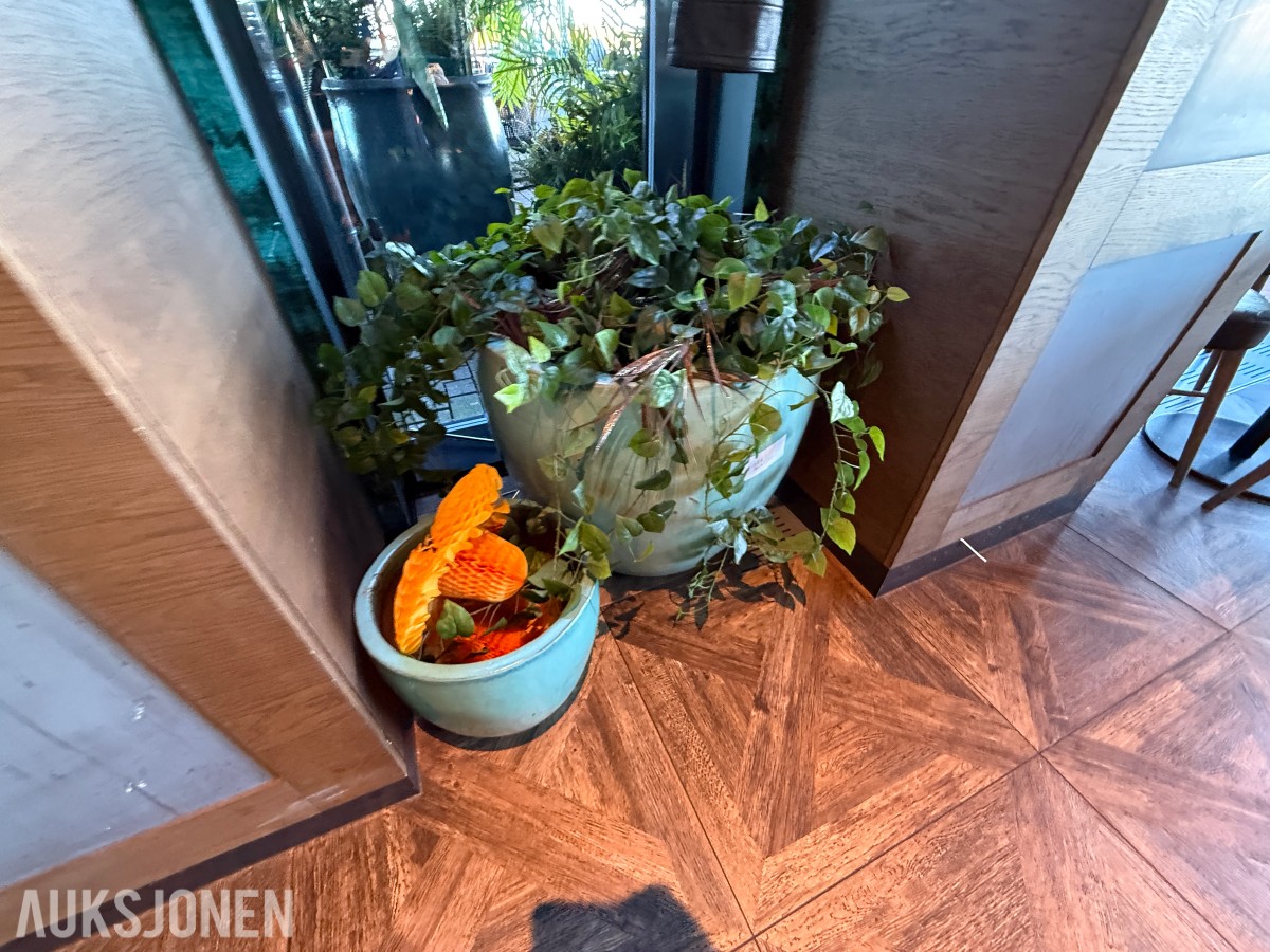 2 stk. dekorative blomsterpotter i turkis/grønn utførelse med plante