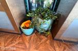 2 stk. dekorative blomsterpotter i turkis/grønn utførelse med plante