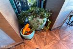 2 stk. dekorative blomsterpotter i turkis/grønn utførelse med plante