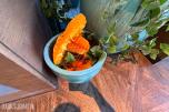 2 stk. dekorative blomsterpotter i turkis/grønn utførelse med plante