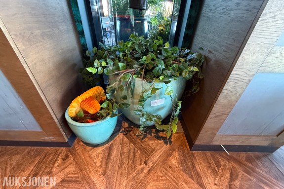 2 stk. dekorative blomsterpotter i turkis/grønn utførelse med plante