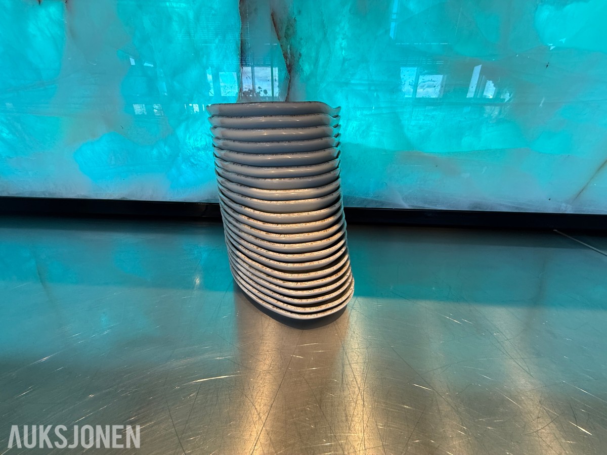 21 stk. serveringsskåler fra VEGA – dekorativt mønster – restaurantutstyr