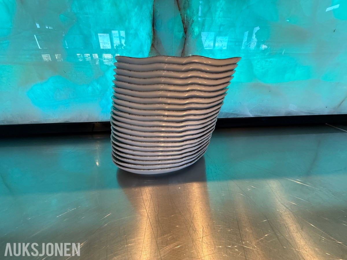 21 stk. serveringsskåler fra VEGA – dekorativt mønster – restaurantutstyr