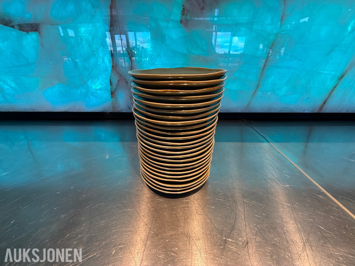 24 stk. runde tallerkener fra Pulsiva – Ø 17 cm – restaurantutstyr