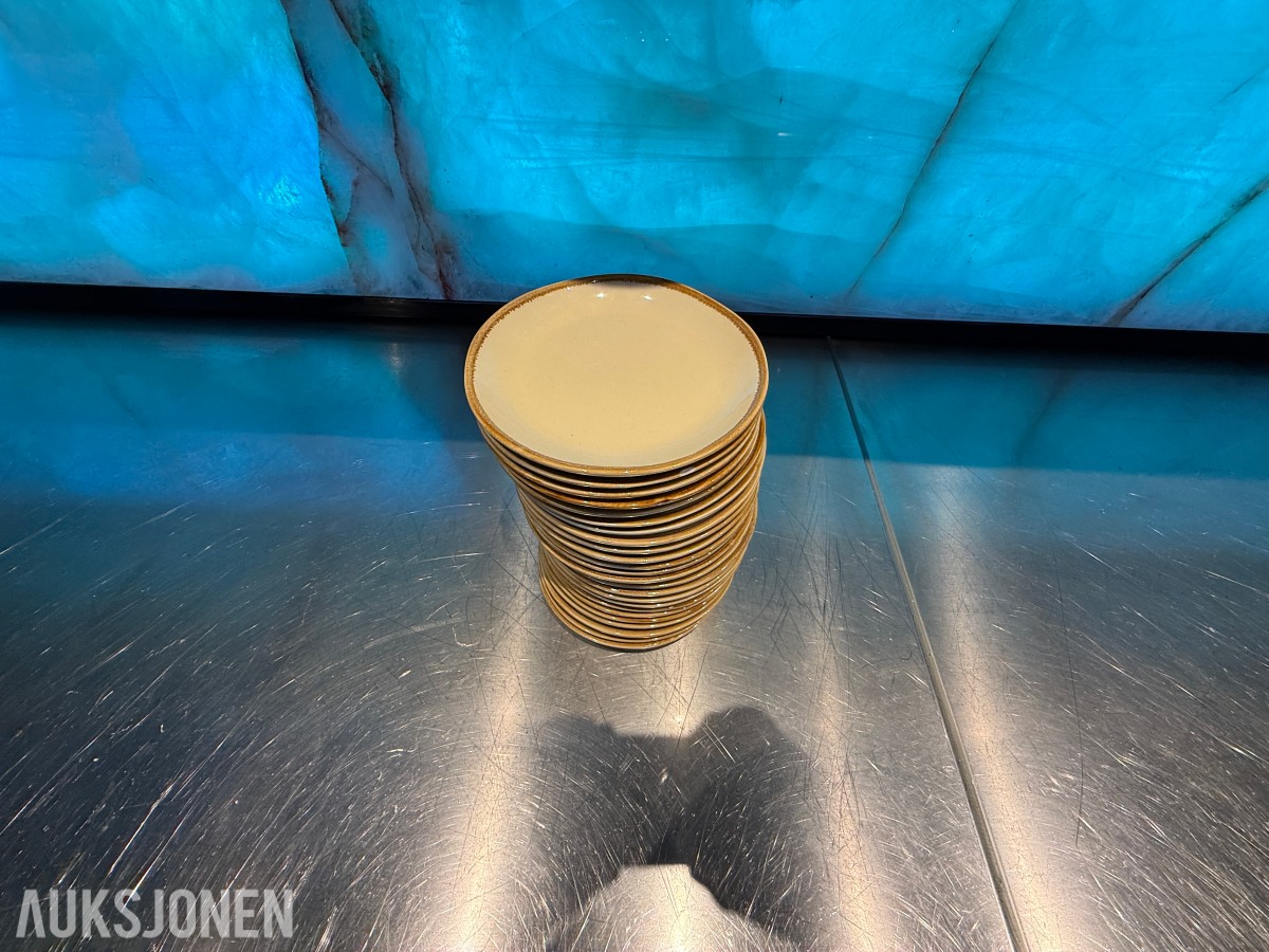 24 stk. runde tallerkener fra Pulsiva – Ø 16 cm – restaurantutstyr