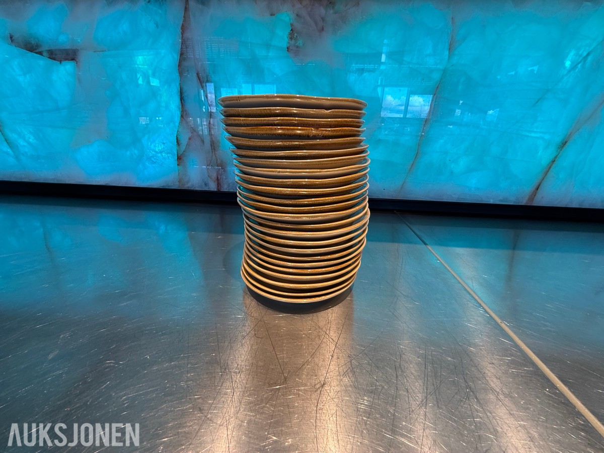 24 stk. runde tallerkener fra Pulsiva – Ø 16 cm – restaurantutstyr