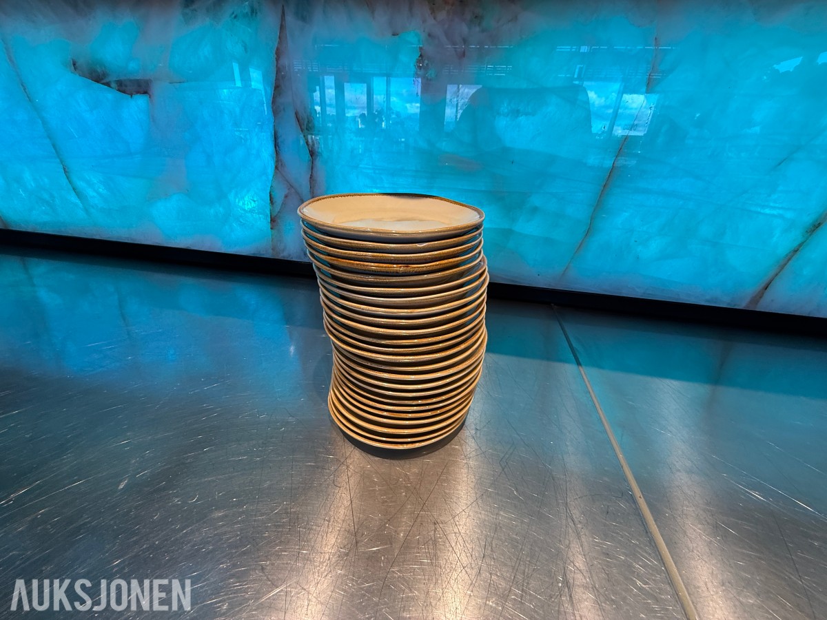 24 stk. runde tallerkener fra Pulsiva – Ø 16 cm – restaurantutstyr